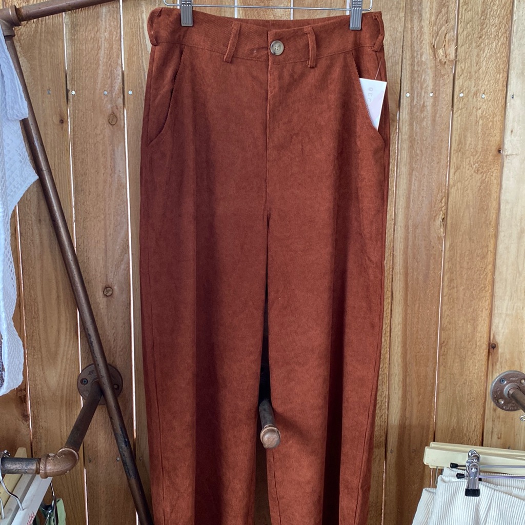 Brand New Pants Brown